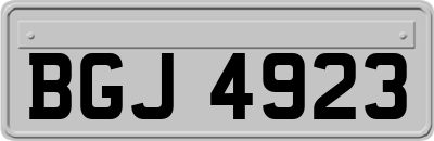 BGJ4923
