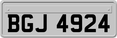 BGJ4924
