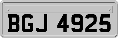 BGJ4925