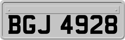 BGJ4928