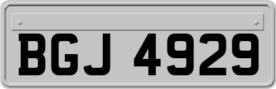 BGJ4929
