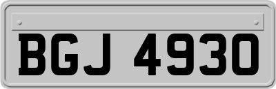 BGJ4930