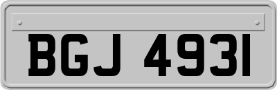 BGJ4931