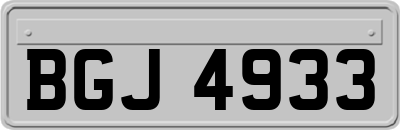 BGJ4933