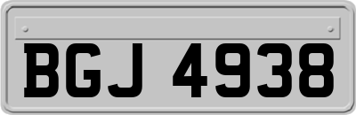 BGJ4938