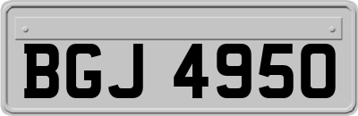 BGJ4950
