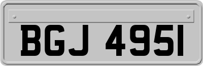 BGJ4951