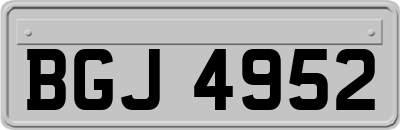 BGJ4952