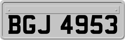 BGJ4953