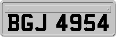 BGJ4954