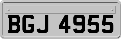BGJ4955
