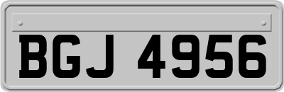 BGJ4956