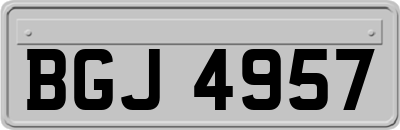 BGJ4957