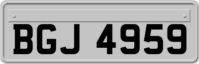 BGJ4959