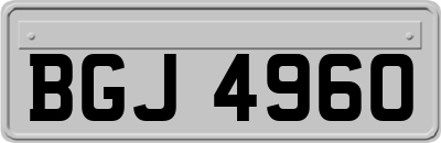 BGJ4960