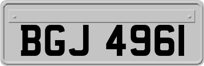 BGJ4961