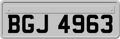 BGJ4963