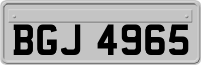 BGJ4965