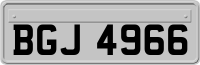 BGJ4966