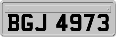 BGJ4973