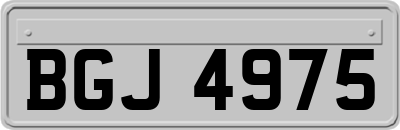 BGJ4975