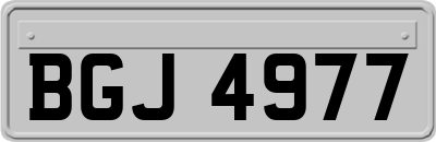 BGJ4977