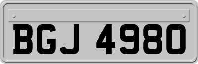 BGJ4980