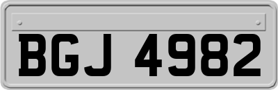 BGJ4982