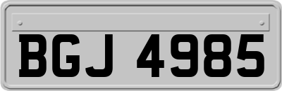 BGJ4985