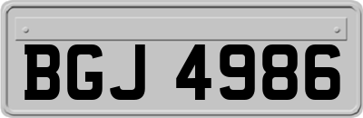 BGJ4986