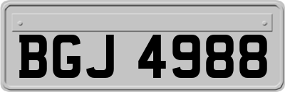 BGJ4988