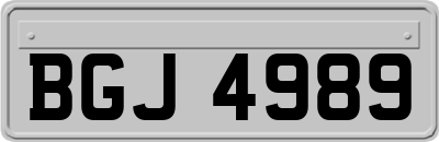 BGJ4989