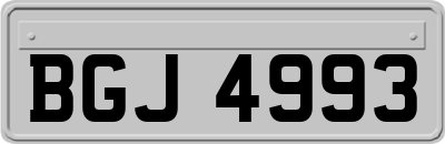 BGJ4993
