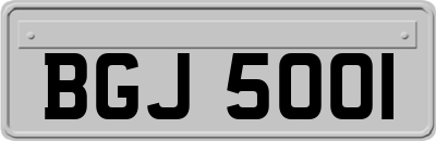 BGJ5001