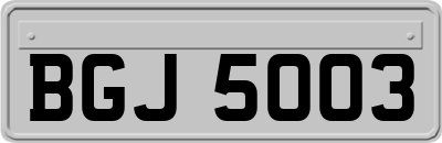 BGJ5003