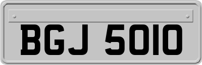 BGJ5010
