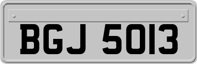 BGJ5013