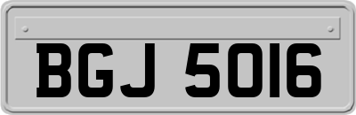 BGJ5016