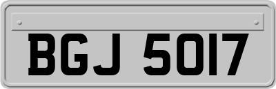 BGJ5017
