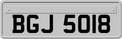 BGJ5018