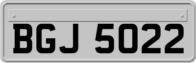 BGJ5022