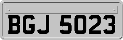 BGJ5023