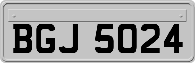 BGJ5024