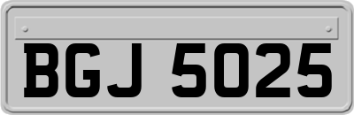 BGJ5025