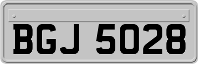 BGJ5028