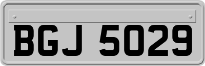 BGJ5029