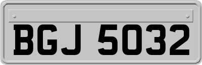 BGJ5032