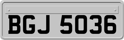 BGJ5036
