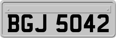 BGJ5042