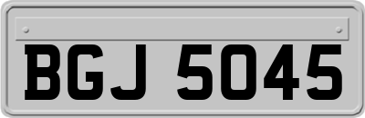 BGJ5045